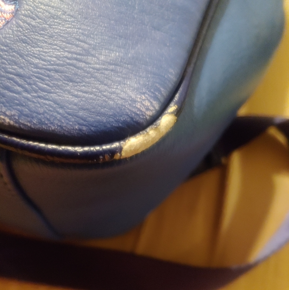 Blue back pack